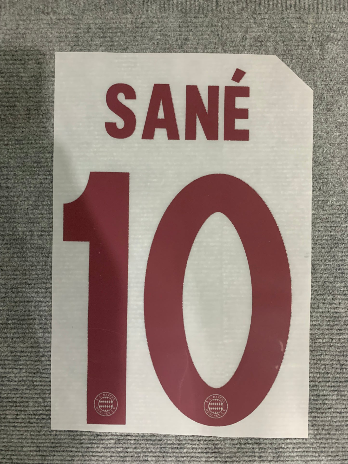 Sane Bayern Alternativa (Official Printing) - 24-25