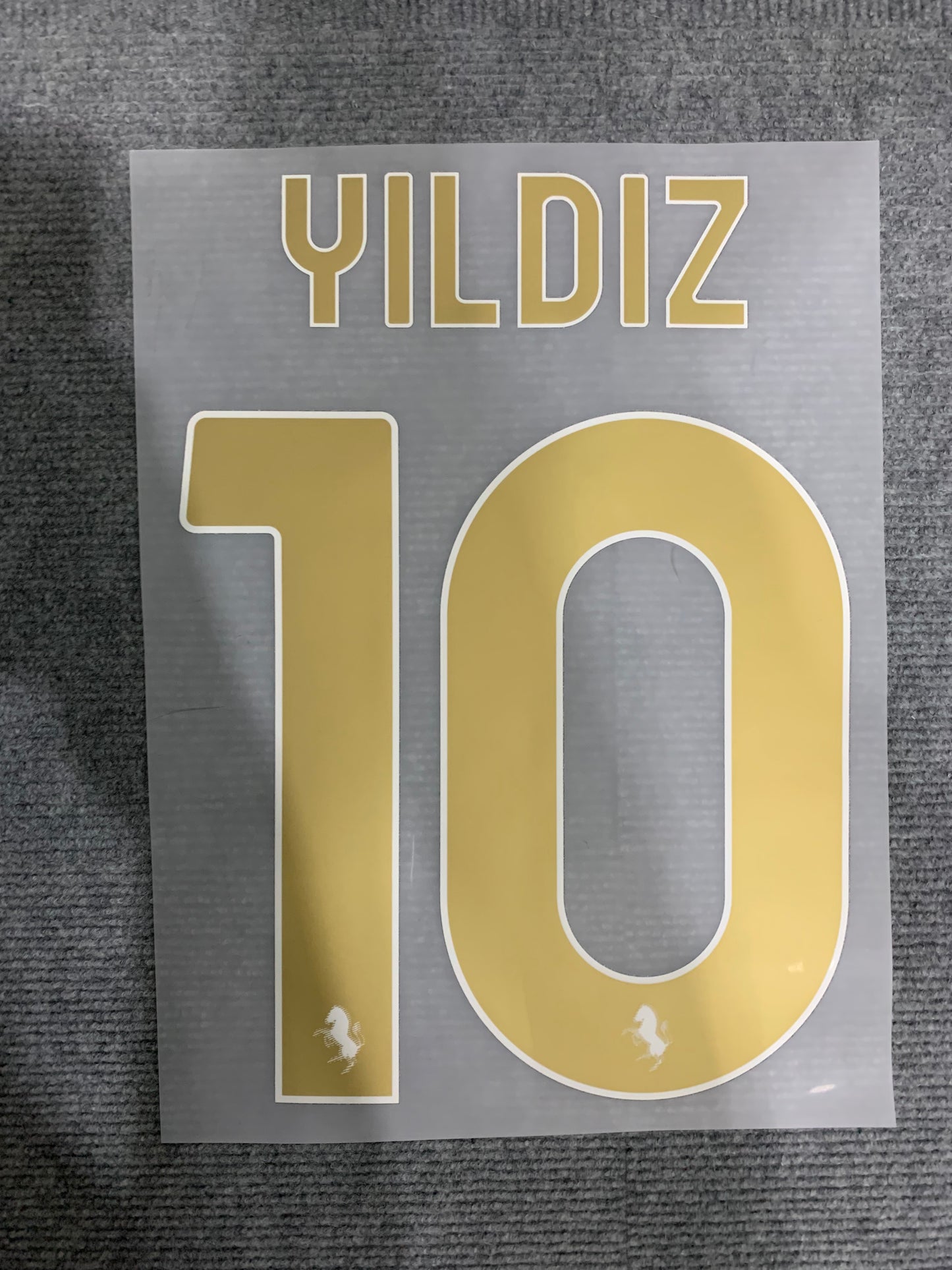 Yildiz Juventus Alternativa (Official Printing) - 24-25