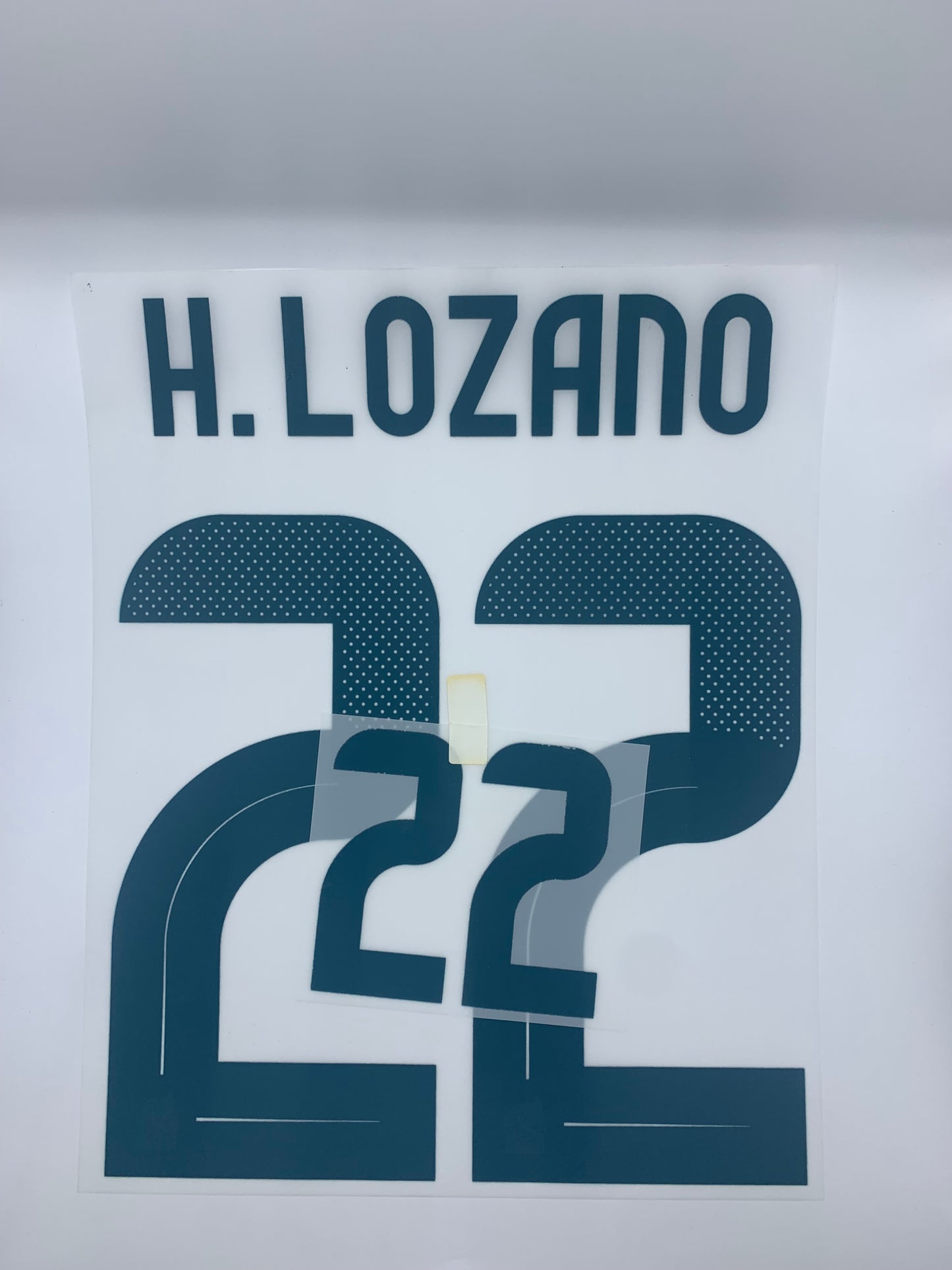 Lozano Mexico Visita (Official Printing) - 24