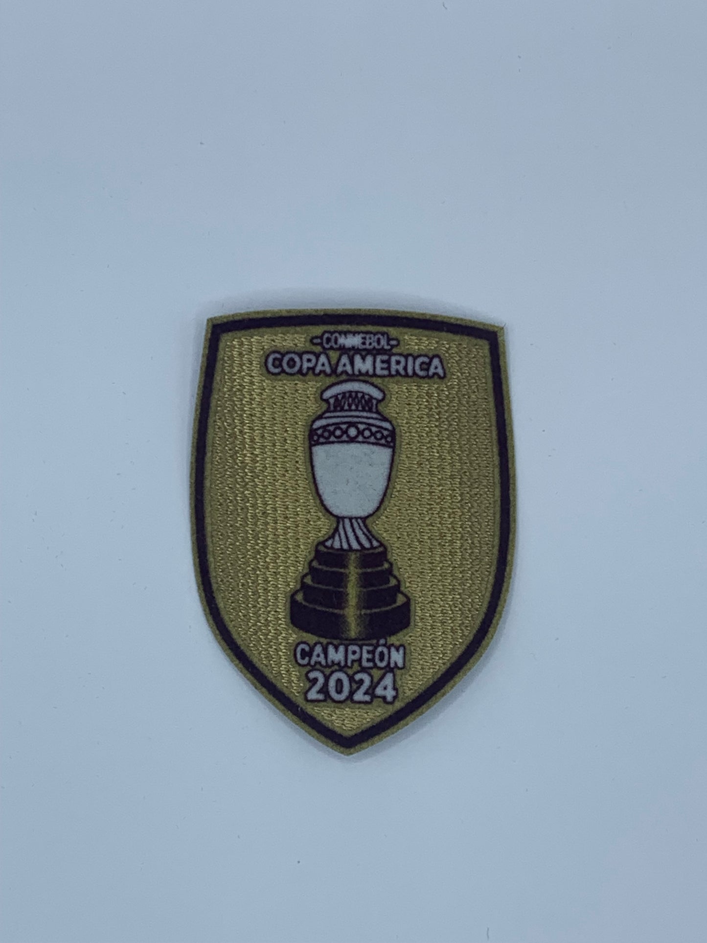 Copa America Campeon 2024