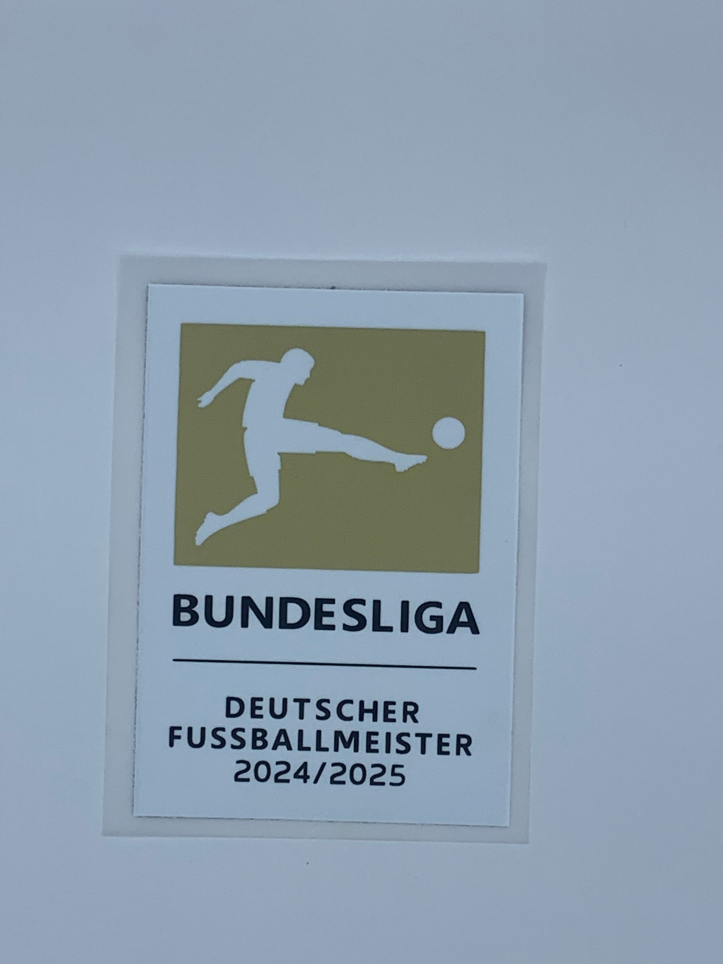 Patch Campeon Bundesliga 24-25